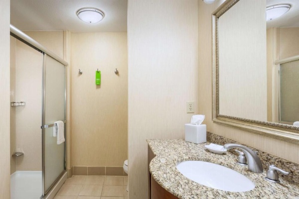 Hampton Inn By Hilton & Suites Las Vegas-Red Rock/Summerlin image 13